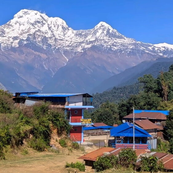 PXL_20251112_060353234.MP