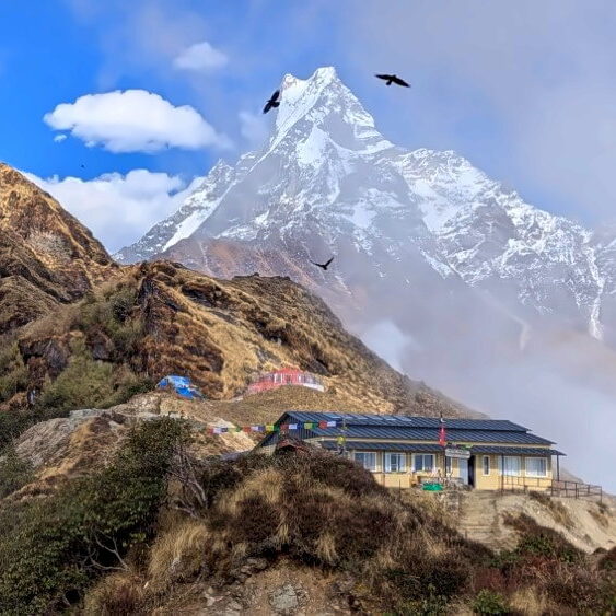 PXL_20251114_083906693.MP