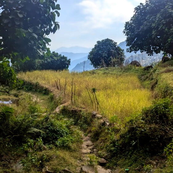 PXL_20251116_081714086.MP