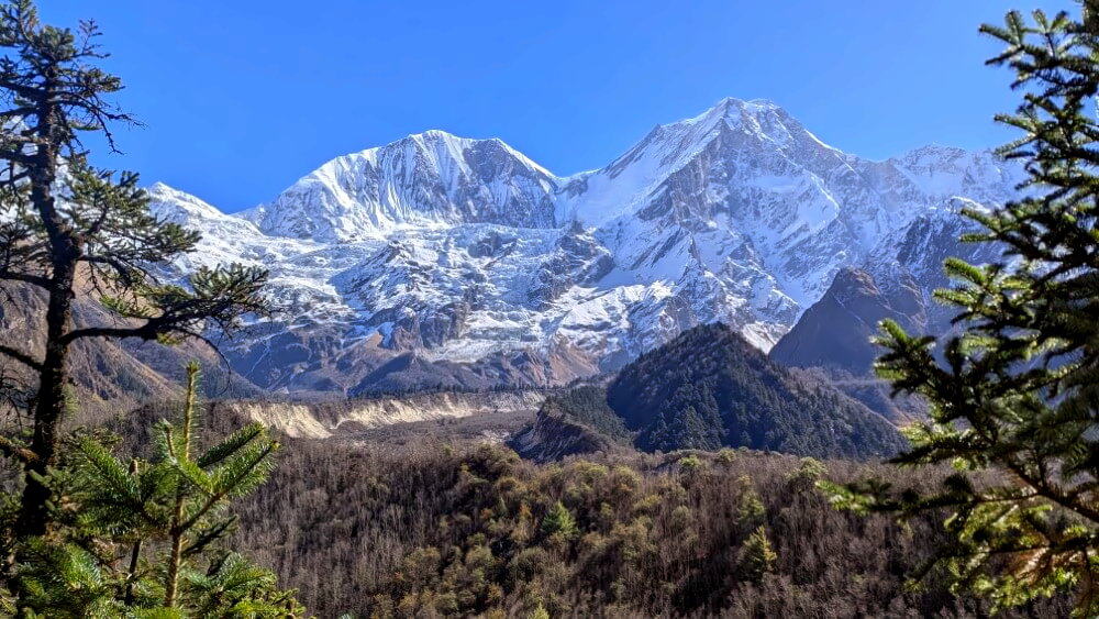 Blick auf das Manaslu Massiv auf dem Weg nach Tilche.