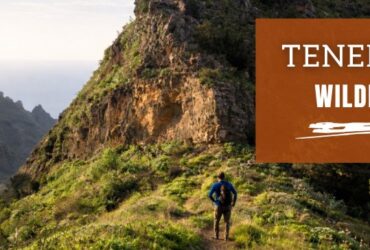 Teneriffa Wilde Wege Shop Banner