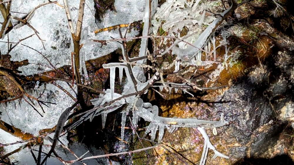 Eiskristalle an einem Bach.