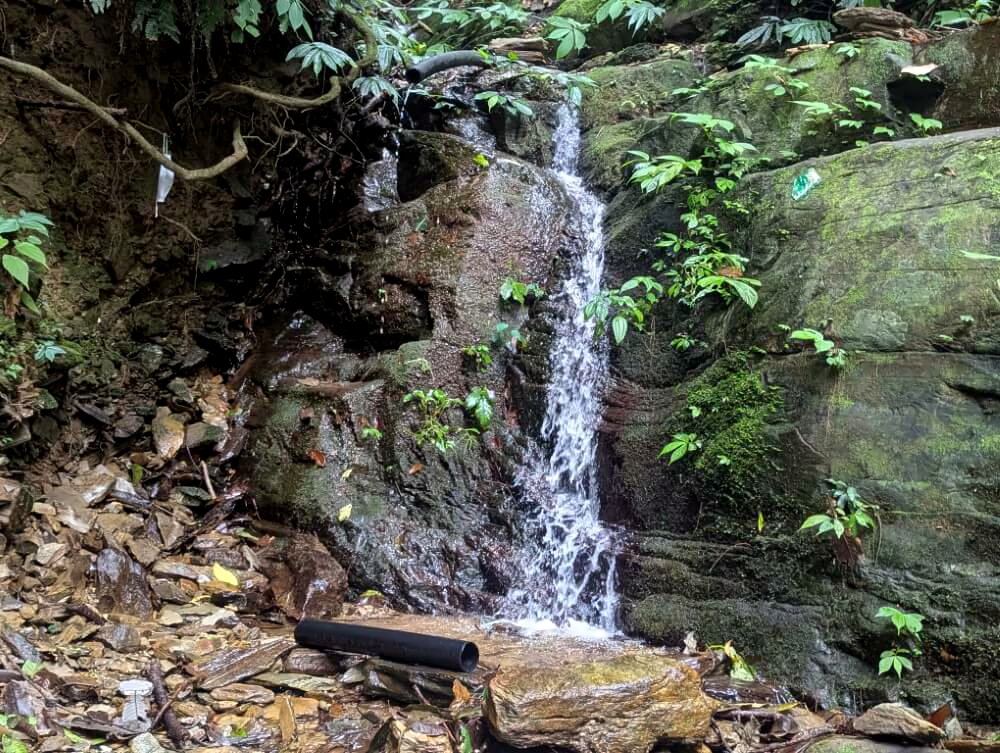 PXL_20251007_061030218.MP