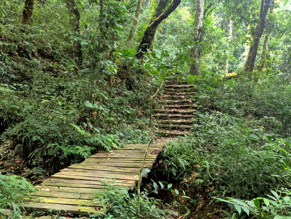 PXL_20251007_063503234.MP