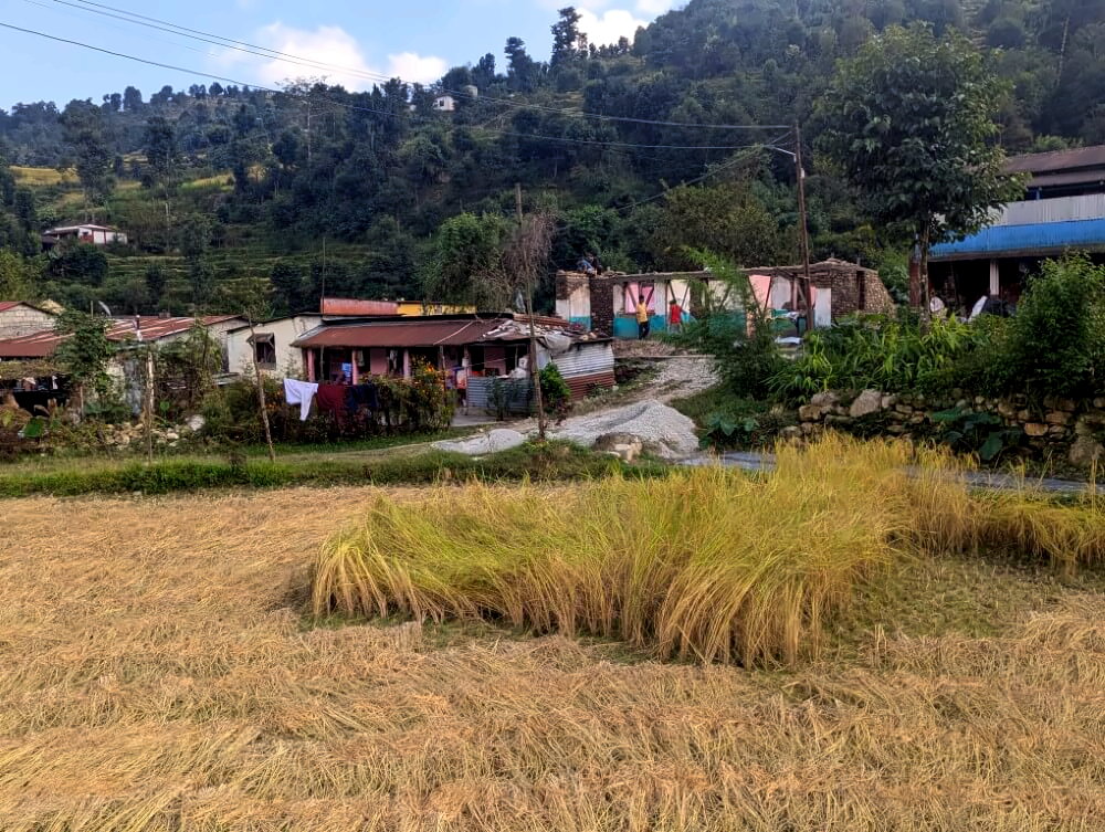 PXL_20251107_082016212.MP