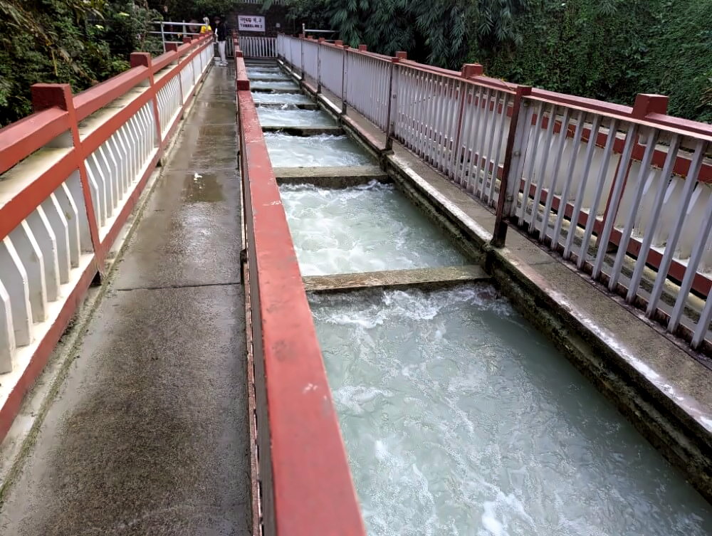 PXL_20251109_104507659.MP