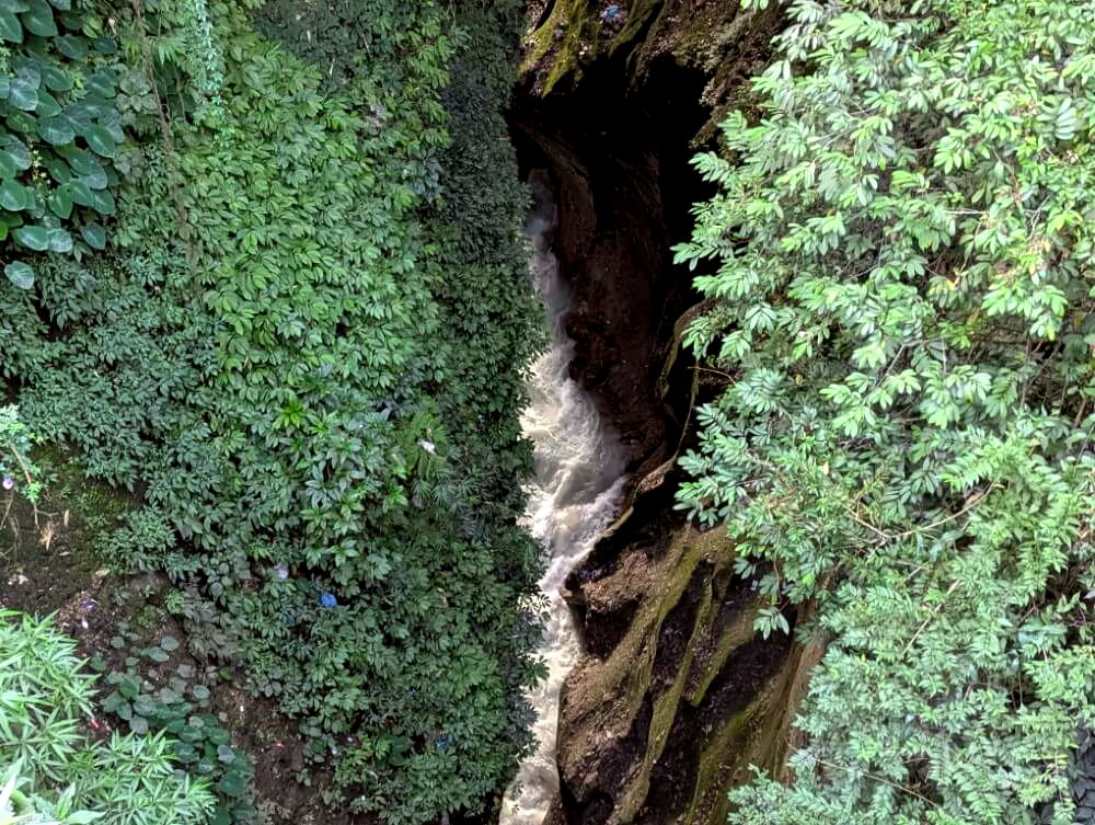 PXL_20251109_105038675.MP