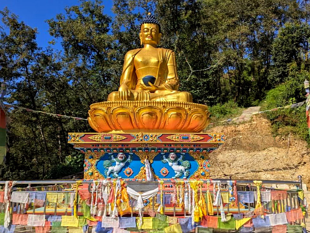 PXL_20251110_044654263.MP