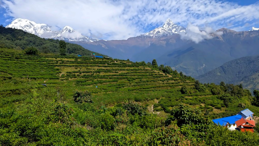 PXL_20251110_053055783.MP